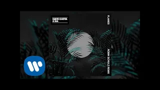 David Guetta & Sia - Flames (Robin Schulz Remix)