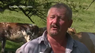 Viaţa satului: De 40 de bani speranţă - despre fermierii din comuna Vurpăr, judeţul Sibiu