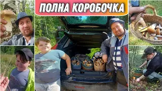 ВЛОГ! Все довольны,пора домой//Набрали четыре корзины грибов//Семейный канал/Простая жизнь/Моя семья