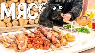 МНОГО МЯСА! Тесты маринадов и гарниры к шашлыкам.