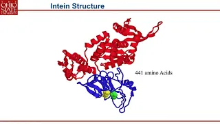 US 20201203 Free Webinar: A general capture and purification platform for tagless proteins