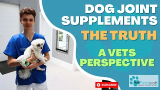 The Truth About Dog Joint Supplements - A Vets Perspective