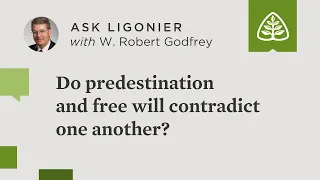 Do predestination and free will contradict one another?