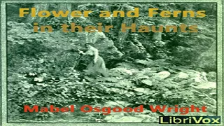 Flowers and Ferns in their Haunts | Mabel Osgood Wright | *Non-fiction, Nature | Talkingbook | 3/5