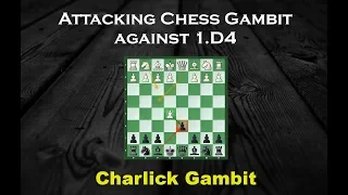 Attacking Chess Gambit against d4 (Charlick Gambit)