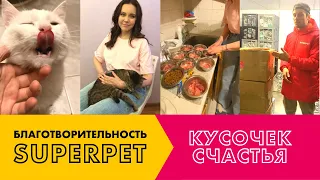 SUPERPET помогает приюту «Кусочек счастья для бездомной кошки» | благотворительная программа