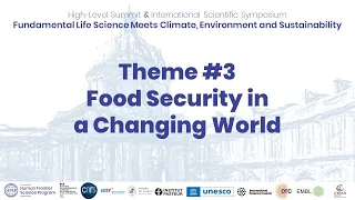 Building Bridges: open discussion theme 3: Food Security in a Changing World