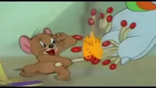 Tom and Jerry - The Zoot Cat - T&J Movie Cartoon For Kids