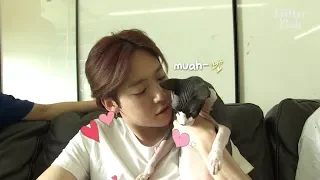 WINNER's Four Pets Everyday Episode 1 | Kritter Klub