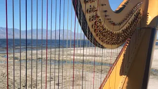 Wind plays two harps! 1 hour of magical harp and nature sounds