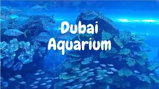 Dubai Aquarium // The Dubai Mall // Marbhie_2001