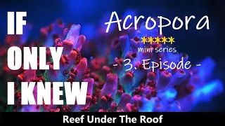 Nitrates & Phosphates In a Reef Tank/ Acropora Series - Ep # 3 (Just don’t be at 0!)