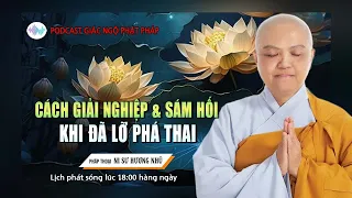 Cách Giải Nghiệp Và Sám Hối Khi Đã Lỡ Phá Thai (quá hay và xúc động) | SC. Thích Nữ Hương Nhũ