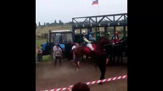 Бешеная лошадь