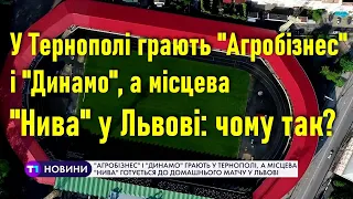 Як тернопільська «Нива» виборює право грати на домашньому стадіоні