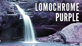 Lomochrome Purple | Film Review
