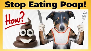 Why do Dogs eat POOP: How to STOP? | Dog Behaviors | Eating Poop | Dog Training | Funny Animals