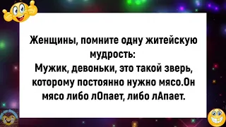 💎Всю ночь в засаде просидел!Подборка весёлых анекдотов!😈Еще тот Анекдот!😈