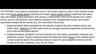 USMLE Practice Questions and Answers #29 I Anatomy & Embryology