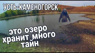 Усть Каменогорск 2022 Озеро за Лесхозом коровий пляж как он выглядит сегодня Өскемен