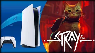 PlayStation 5 | Stray | Graphics test/First Look