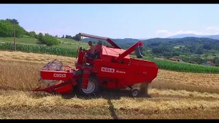 Wheat harvest 2022 with combine  Kola Rubin