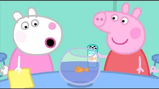 We Love Peppa Pig The Pet Competition #21