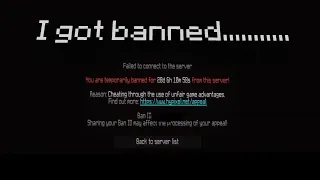 I got banned (Hypixel Skyblock)....