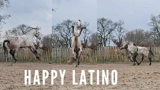 Happy Latino jumping around!