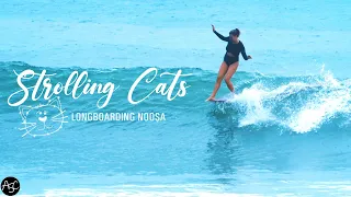 "STROLLING CATS" Longboard Surfing Noosa Heads QLD [4k]