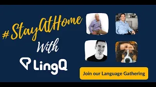 LingQ Language Gathering
