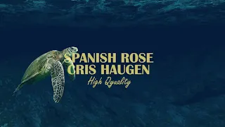 Spanish Rose - CRIS HAUGEN ( Hight Quality ) #spanish #guitar #flemenco