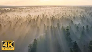 6 Hours Fascinating Aerial Views of Nature 4K