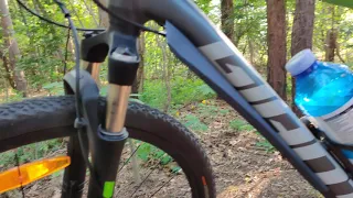 2020 Giant Roam 1