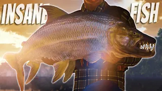 We Traveled To The Congo In Search Of MASSIVE Goliath Tigerfish! Fishing Planet