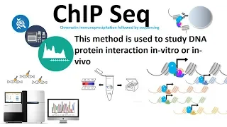 Chip seq (chromatin immuno-precipitation followed by sequencing)