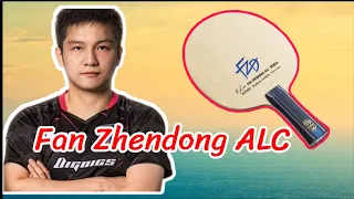 Butterfly Fan Zhendong ALC with Dignics 09c Review