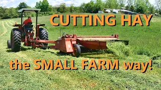 the basics of cutting hay