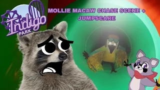 MOLLIE MACAW CHASE SCENE + JUMPSCARE!!! #Indigopark