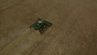 Grandview Colony Barley Harvest 2018