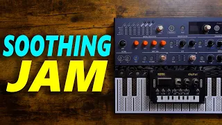 Soothing Microfreak and NTS-1 Jam! (Sunday Sessions #87)