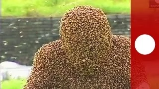 Covered in bees: China man spends a record hour in living bee coat