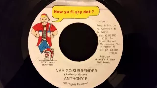 Anthony B - Nah Go Surrender - How Yu Fi Sey Dat 7" w/ Version