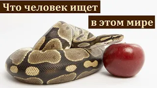 "Без веры угодить Богу невозможно". Я. Хрипков. МСЦ ЕХБ