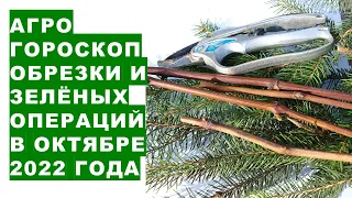 Агрогороскоп обрезки садовых растений и "зелёных операций" в октябре 2022 года