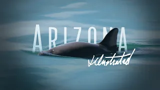 Arizona Illustrated Special: La Vaquita