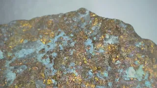 Calcopirite al microscopio