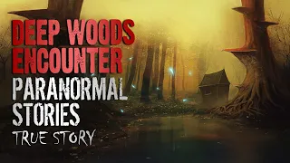 16 True Paranormal Stories | Deep Woods Encounter | Paranormal M