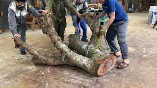 Make a Table From a Tree Trunk // Amazing Woodworking Project - Robert Madison