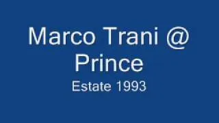 Marco Trani Live @ Prince estate 1993